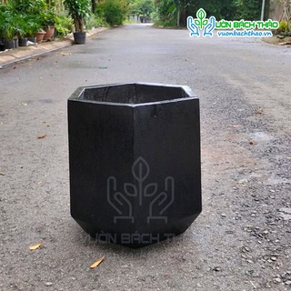 [HÀNG THANH LÝ] Các mẫu chậu thanh lý