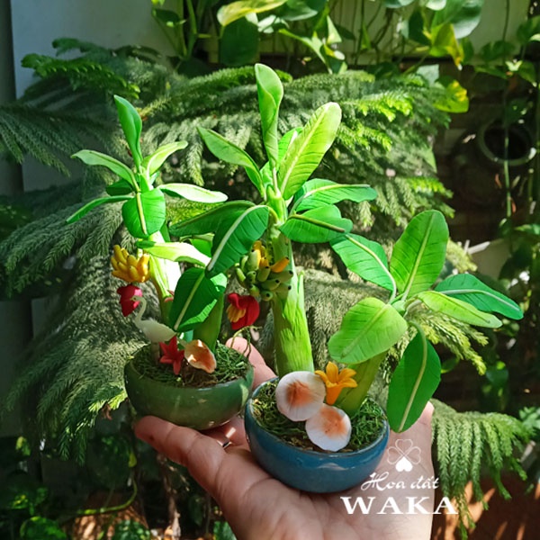 Hoa Đất Sét Mini-Cây Chuối Mini