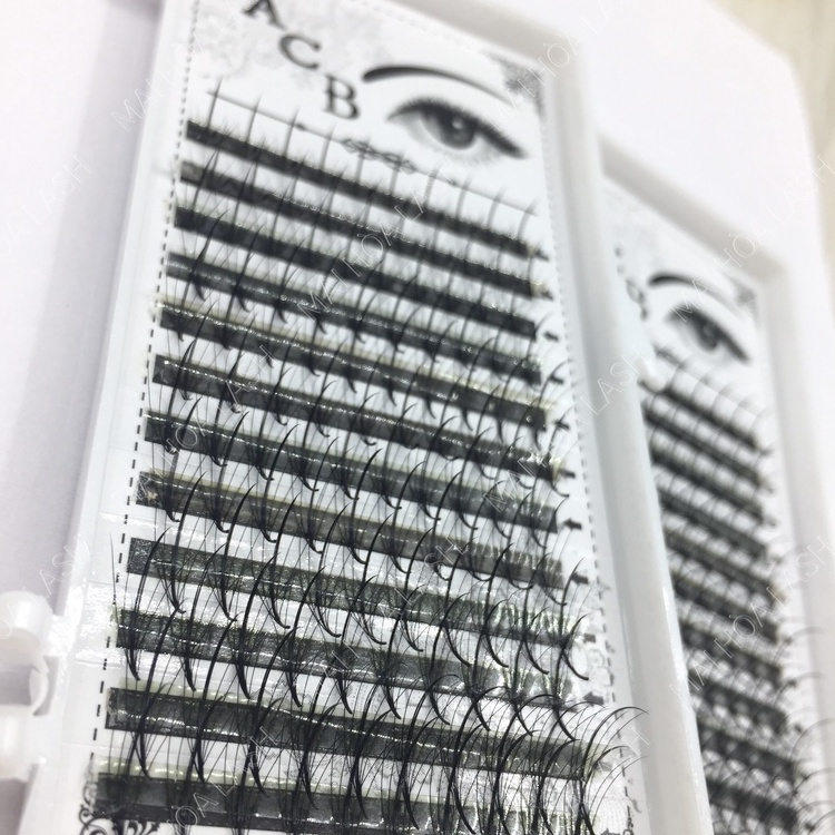 Mi trụ katun 5D -dungcunoimi-maihoalash