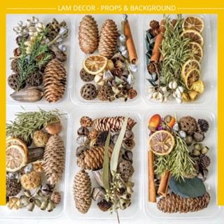 Set hộp hoa khô, cành quế, trái cây khô trang trí, chụp ảnh sản phẩm