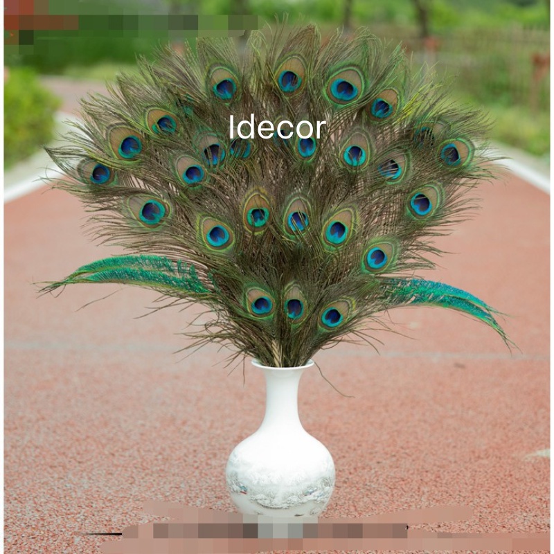 Lông công rìa dùng trang trí điểm tô một vài cành xung quanh bình lông công