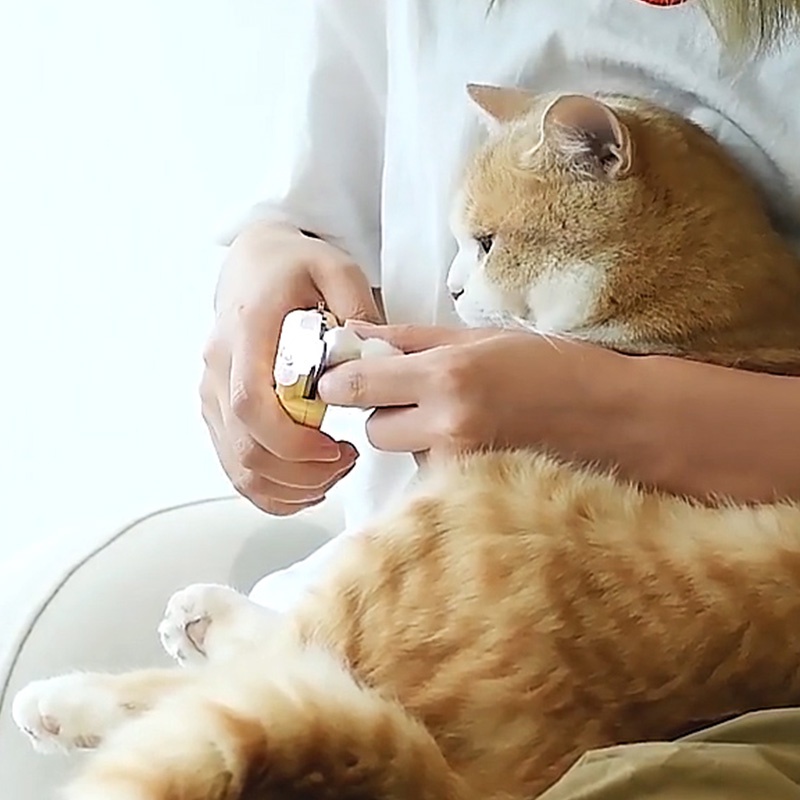 HamshMoc Kềm Cắt Móng Vuốt Thú Cưng An Toàn Có Đèn LED