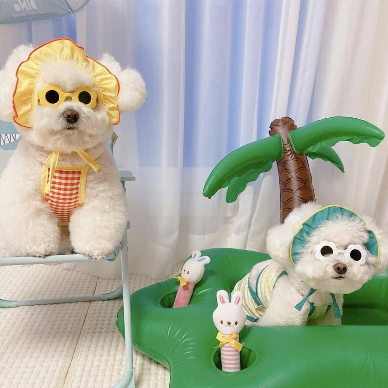 Kính Mát Hình Hoa Hướng Dương Dành Cho Thú Cưng