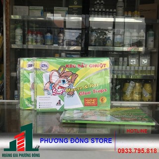Combo 10 miếng keo dính chuột giấy