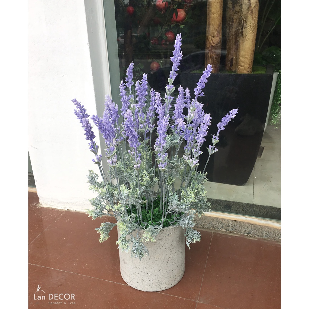 Hoa Lavender_Cành hoa giả Lavender 3 nhánh cao 50cm thân phủ phấn trắng giống thật loại 1, phù hợp trang trí nhà cửa
