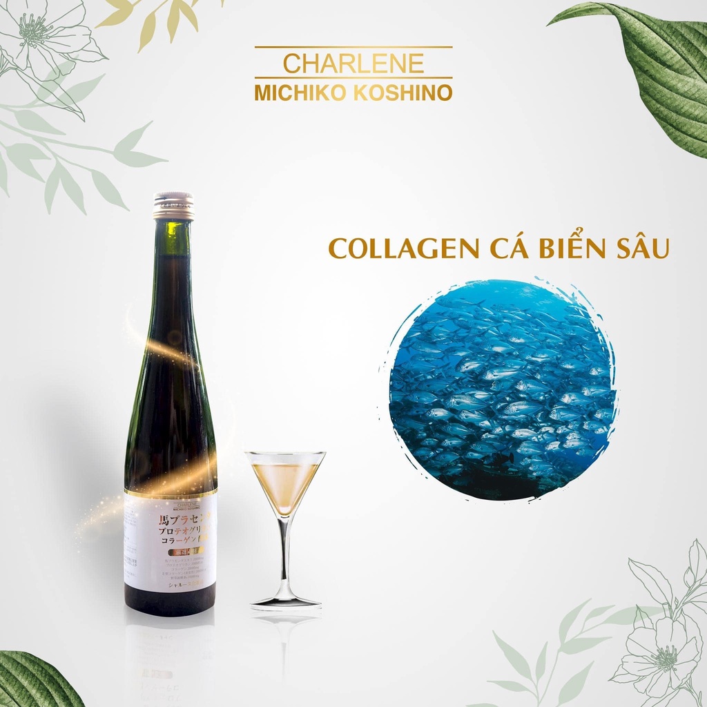 Nước Uống Collagen Nhau Thai Ngựa Charlene Michiko Koshino
