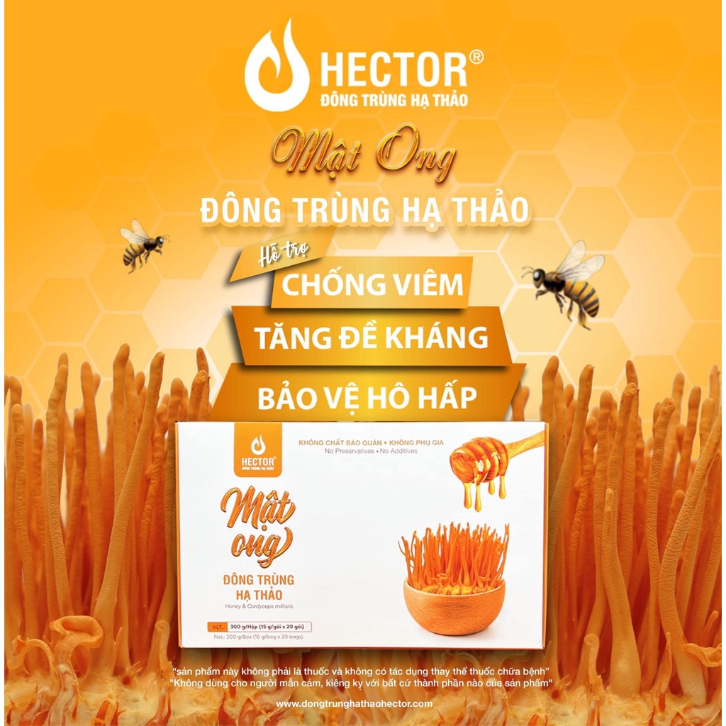 Mật ong Đông Trùng Hạ Thảo Hector tăng đề kháng - Hộp 20 gói