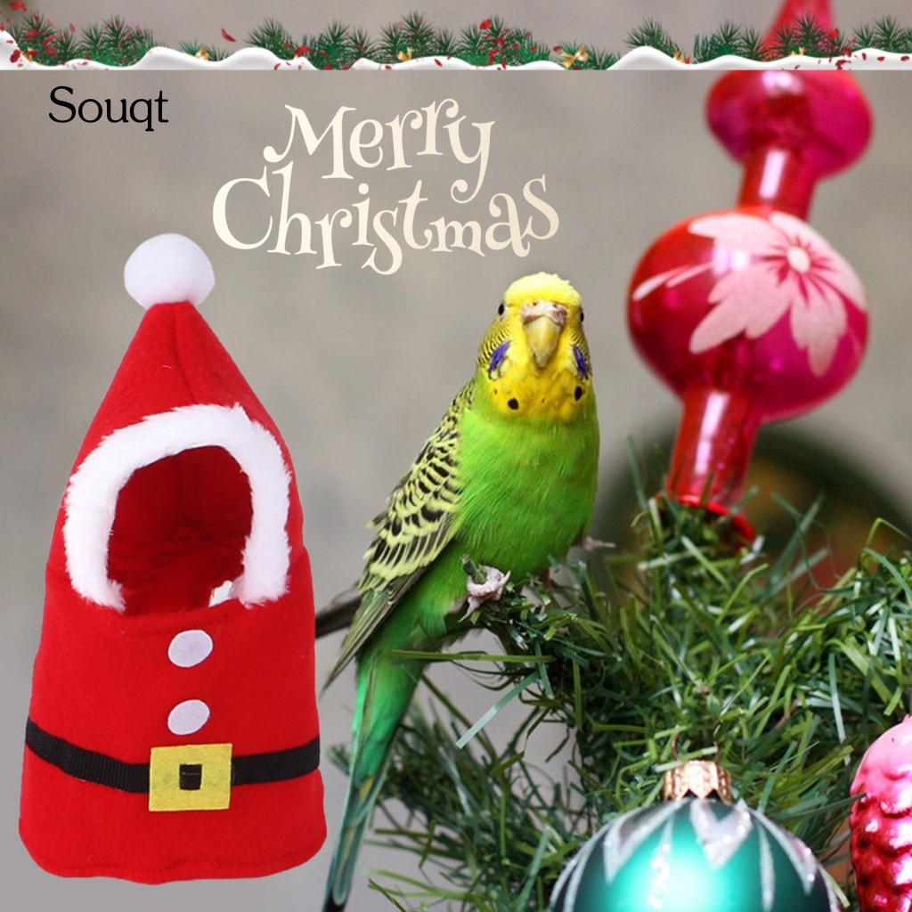 Bộ Quần Áo Ông Già Noel Cho Vẹt Cưng