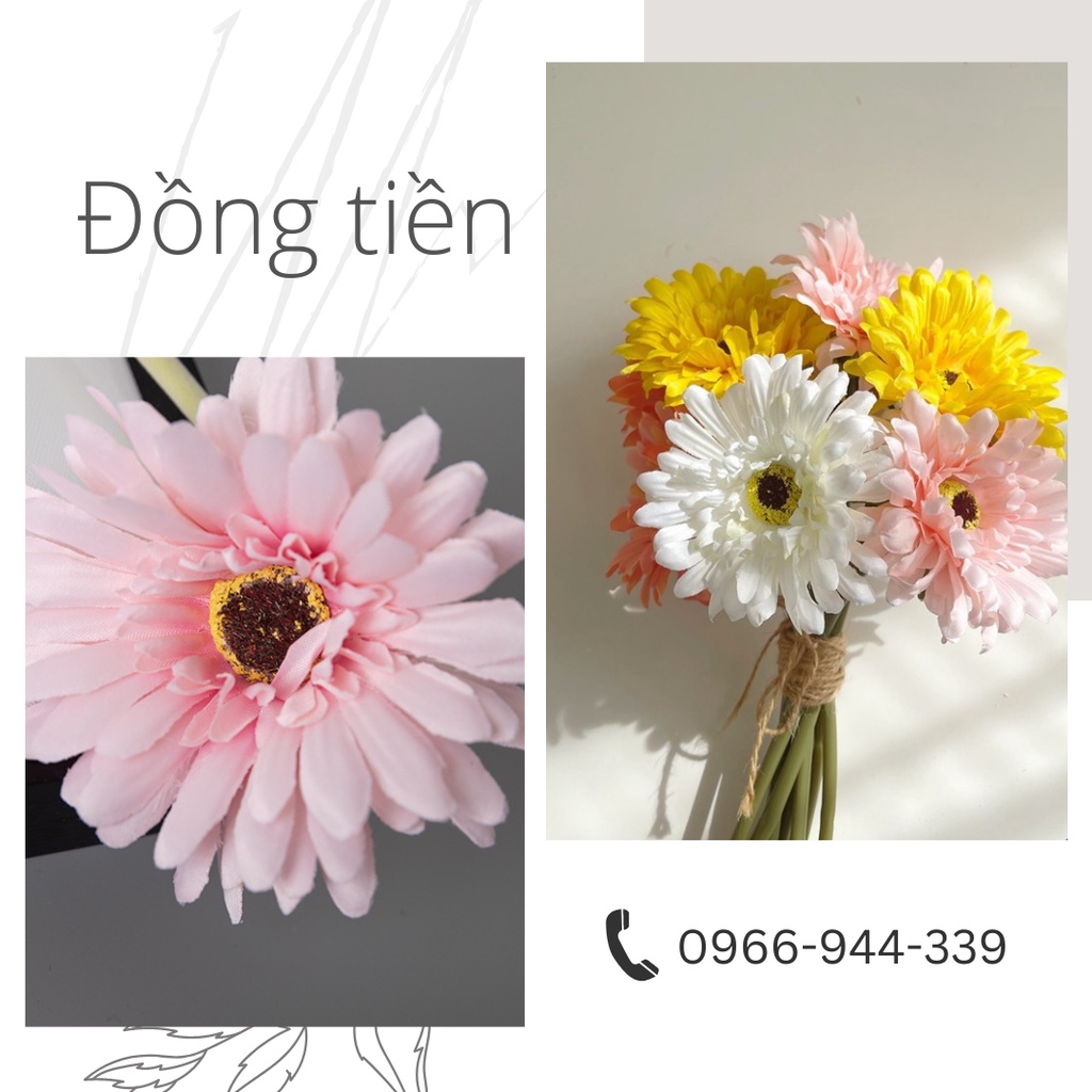 HOA ĐỒNG TIỀN Hoa giả Hoa lụa trang trí quán cafe, phòng khách, làm việc, chụp hình