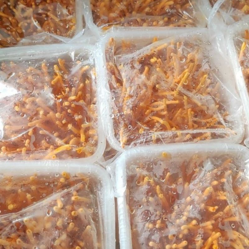Đông trùng hạ thảo tươi khối lượng 180gr