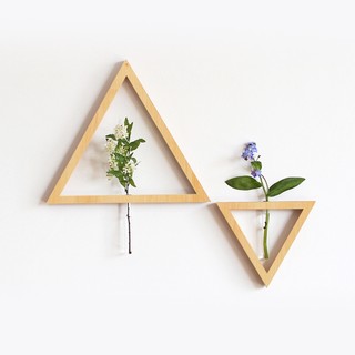 Khung treo hoa trang trí, decor tường đẹp, trồng cây thủy sinh, lọ hoa thủy tinh, trang trí hoa, lọ cắm hoa Minn-HH025