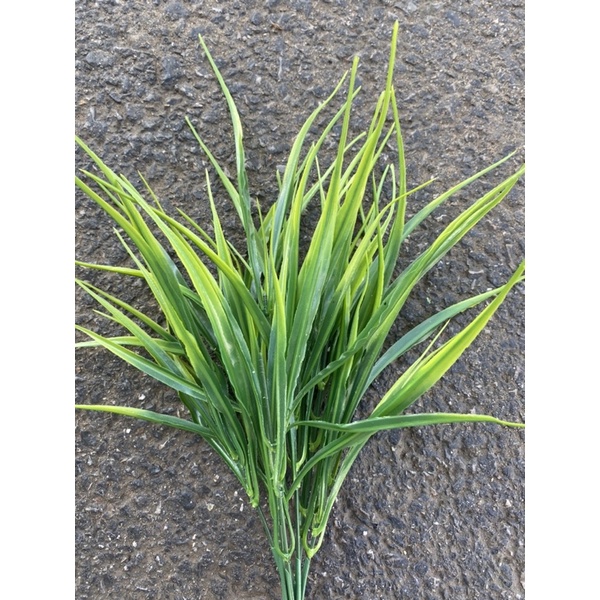 Cỏ điểm lá lúa xanh, cắm điểm chậu lọ hoa trang trí