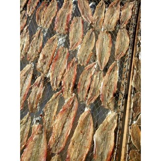 khô cá mối (1kg 150 k , 0,5kg 75k)