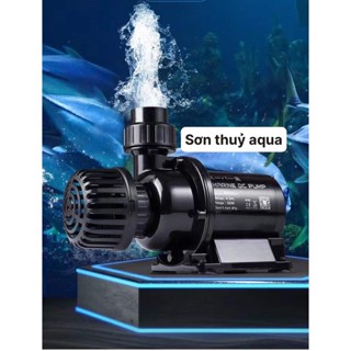 Máy Bơm DC 24V chống giật Marine DC650,DC1500, DC2500,DC4000