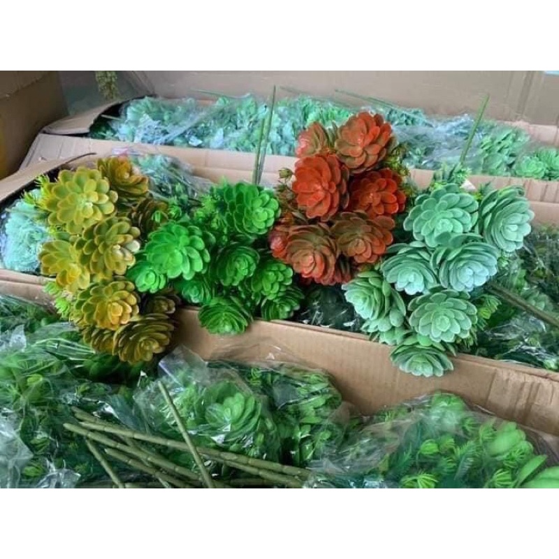 - Trang trí decor nhà cửa, chậu cảnh siêu đẹp