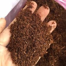 Túi xơ dừa trồng cây và ươm hạt