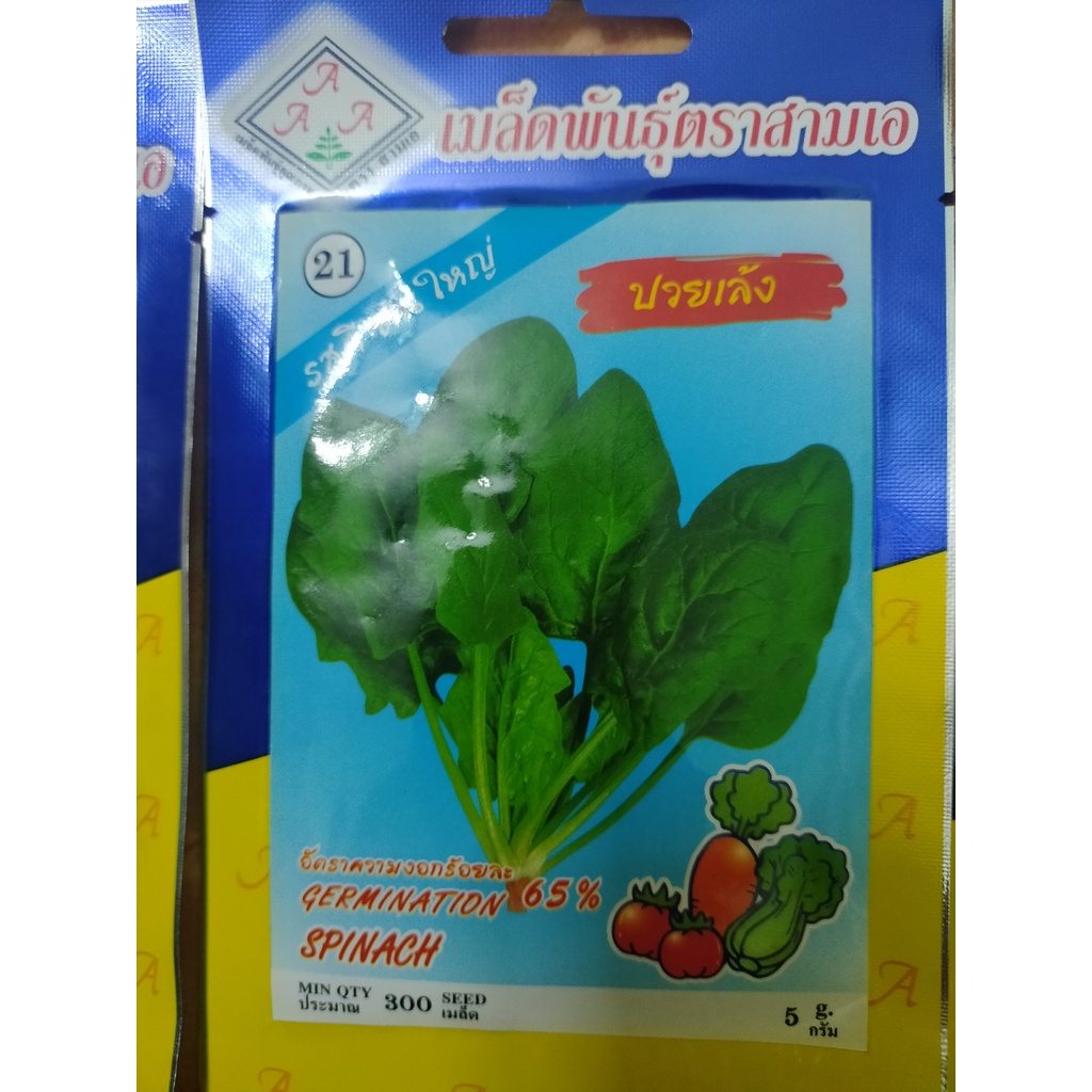 hạt giống cải bó xôi thái lan nhập khẩu chính hãng