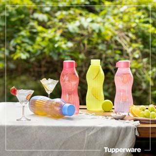 Bình nước Eco Bottle Freezerable 880ml