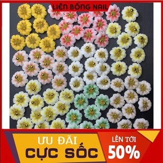 hoa bột nail- hướng dương