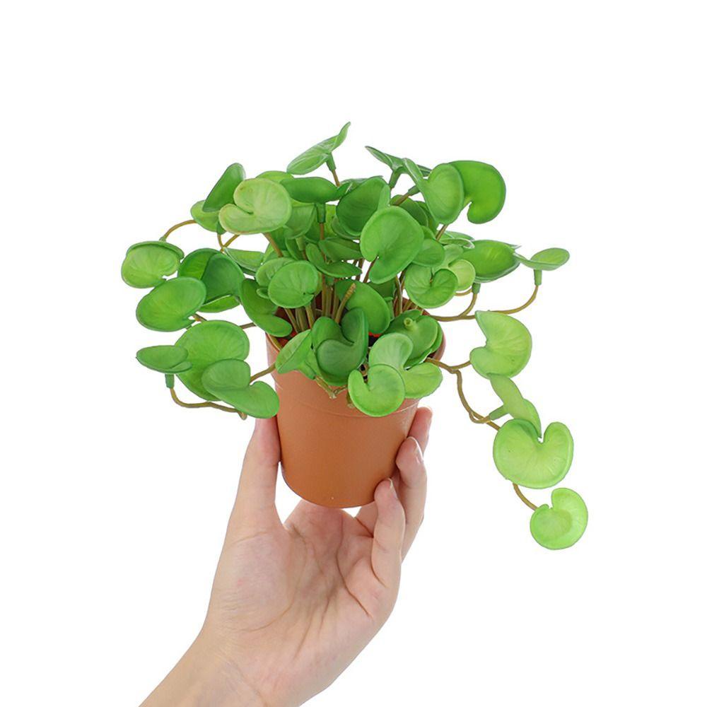 Chậu Cây Bonsai Giả Dùng Trang Trí Văn Phòng / Khách Sạn