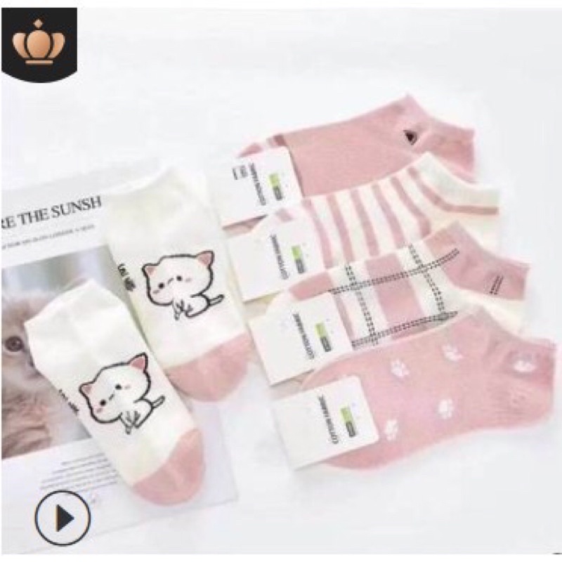 Set tất vớ siêu cute dành cho các bạn nữ nhiều hình set 5 tất