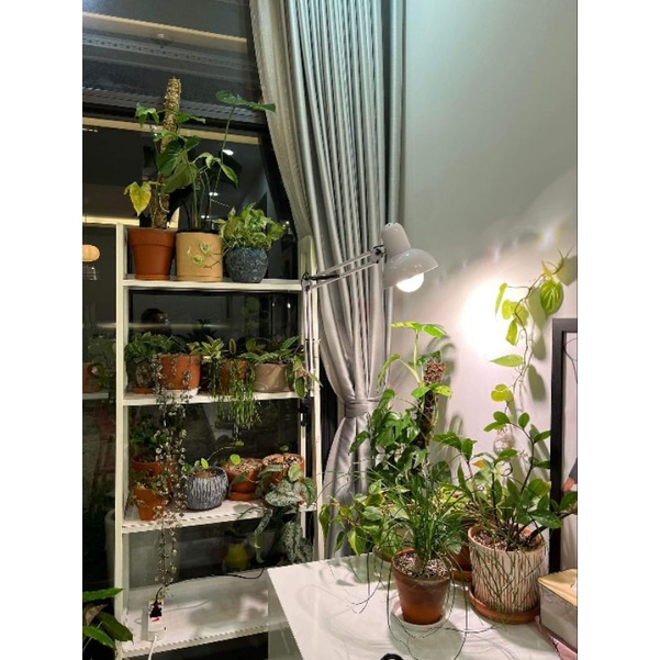 Đèn Trồng Cây Trong Nhà LGL 20W, Ánh Sáng Vàng Ấm Kích Thích Ra Ở Chồi Kiểng Lá & Ra Mầm Ở Cây Hoa, Sen Đá
