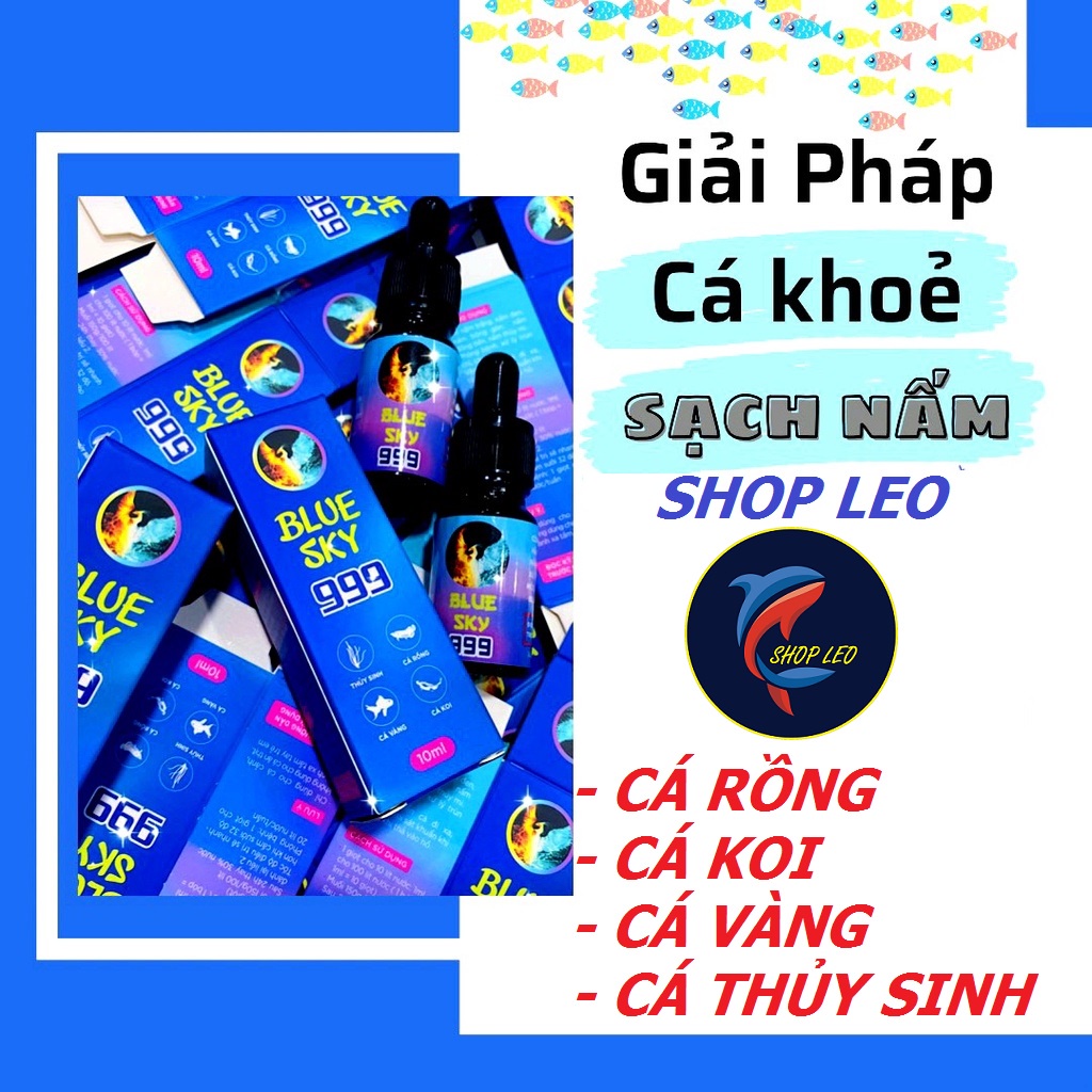 ParaKill & Anti Stress-Bio Knock-blue Sky- Aqua Max V-phòng và xử lý các loại nấm cho cá cảnh-trị nấm cá cảnh hiệu quả