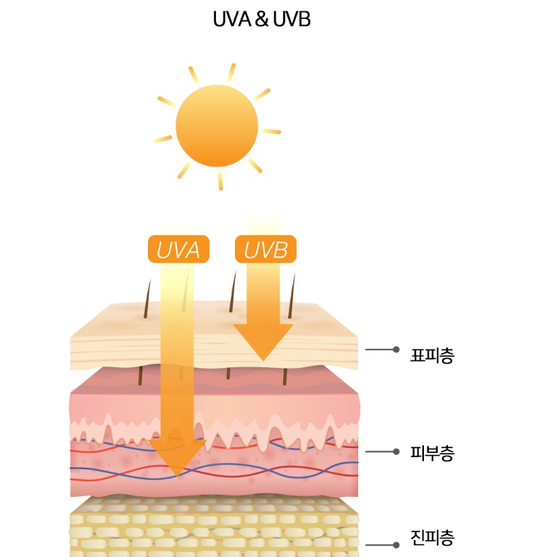 Thỏi Kem Chống Nắng 3W CLINIC SPF50 + / PA + + + +