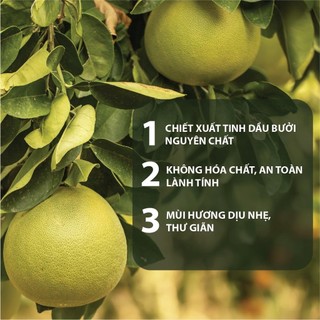 Serum Bưởi Milaganics (100ml)