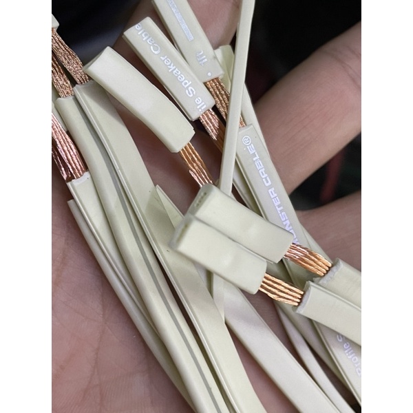 Dây loa Monster bãi Mỹ