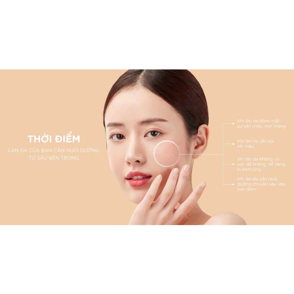 (Minisize) Kem Dưỡng Ẩm Phục Hồi Da LANCI Night Repair Probio Cream 2ml