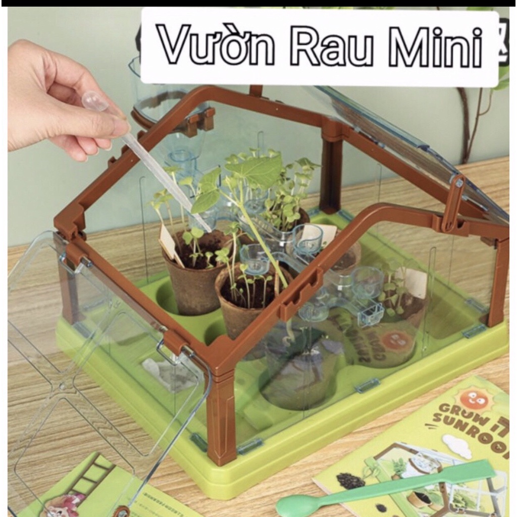 Đồ chơi Trồng cây trong nhà kính mini giúp bé theo dõi sự nảy mầm và phát triển của cây, yêu thiên nhiên hơn
