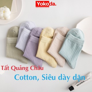 Combo tất vớ nữ cổ cao hàn quốc cao cấp sét tất chân nữ cổ thấp nhiều màu cute - T10