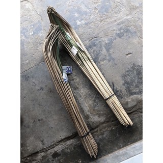 Cần câu cắm cá