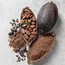 Cacao nguyên chất 100% - 500gr cacao đắk lắk loại 1 - ảnh sản phẩm 7