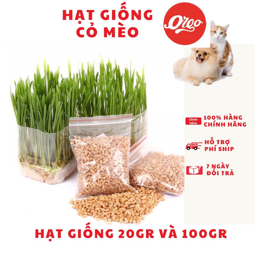 Orgo- Hạt cỏ mèo Hướng dẫn trồng cỏ mèo tươi hạt lúa mạch