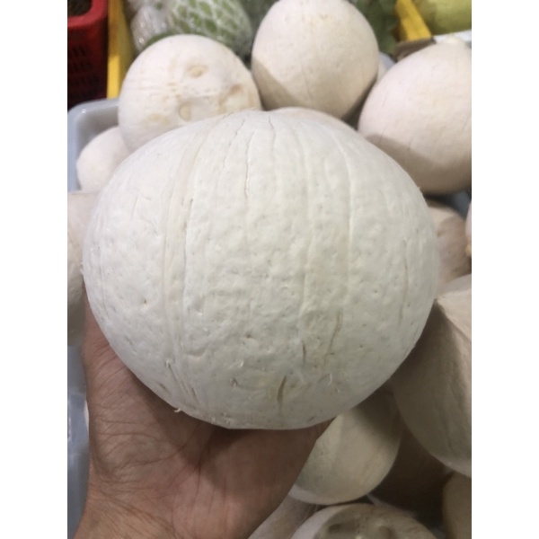 Dừa ông nội