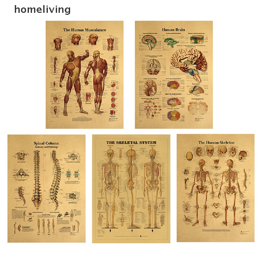 Áp Phích Trang Trí Nội Thất Hình Cột Cột Xoay Người Giải Phẫu Đầu Gối Nghệ Thuật