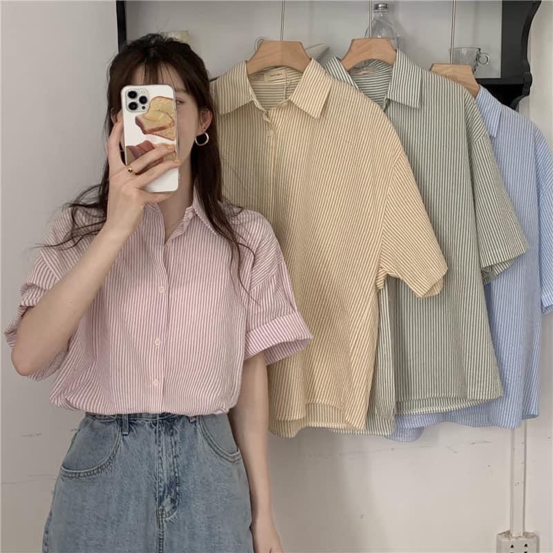 [HÀNG CÓ SẴN] 🌻𝐒𝐎̛ 𝐌𝐈 𝐊𝐄̉ 𝐒𝐎̣𝐂 𝐌𝐀̀𝐔 𝐏𝐀𝐒𝐓𝐄𝐋🌻