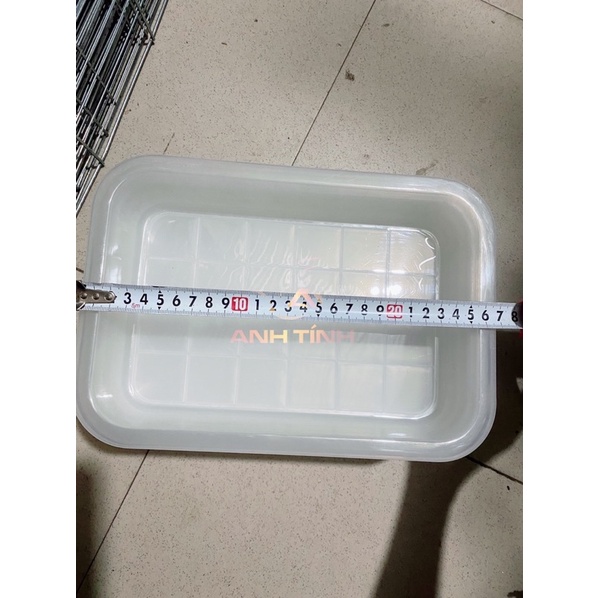 Thau nhựa  tắm  chim