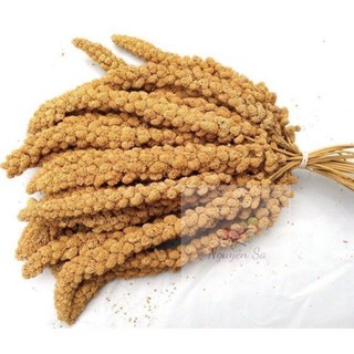 Kê chùm dành cho hamster,chim,vẹt. 100 gram.