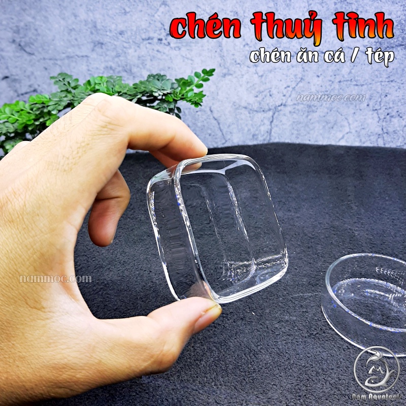 Chén Tép Thuỷ Tinh | Chén Chứa Thức Ăn Cho Cá Tép Cảnh