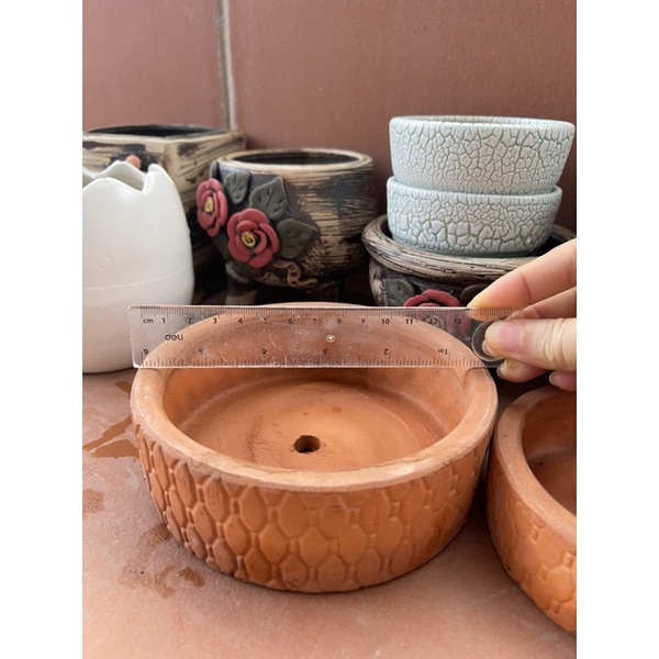 Chậu trồng sen đá