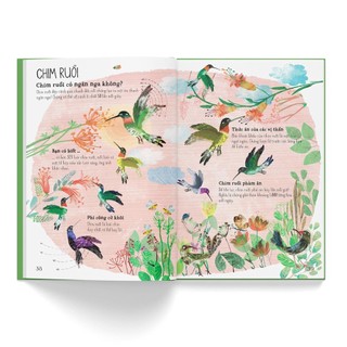 Bộ sách A Lê Hấp - Bộ 5 cuốn