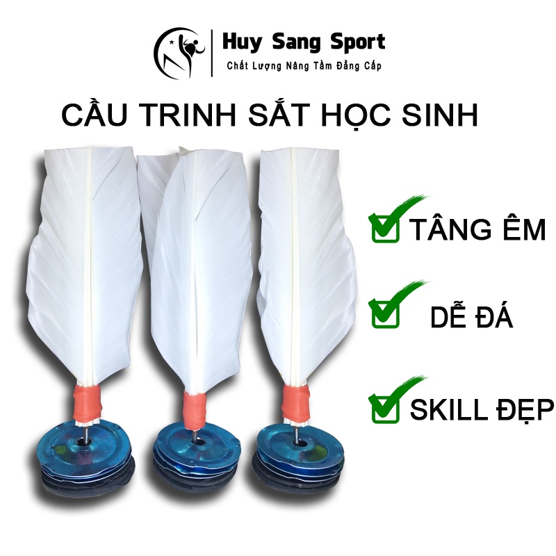 Cầu Trinh Sắt Học Sinh - Bền Rẻ Đẹp Cho Học Sinh và Người Mới Chơi