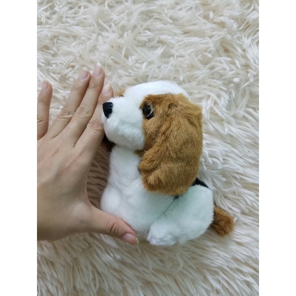 Gấu bông con chó xù giống như thật