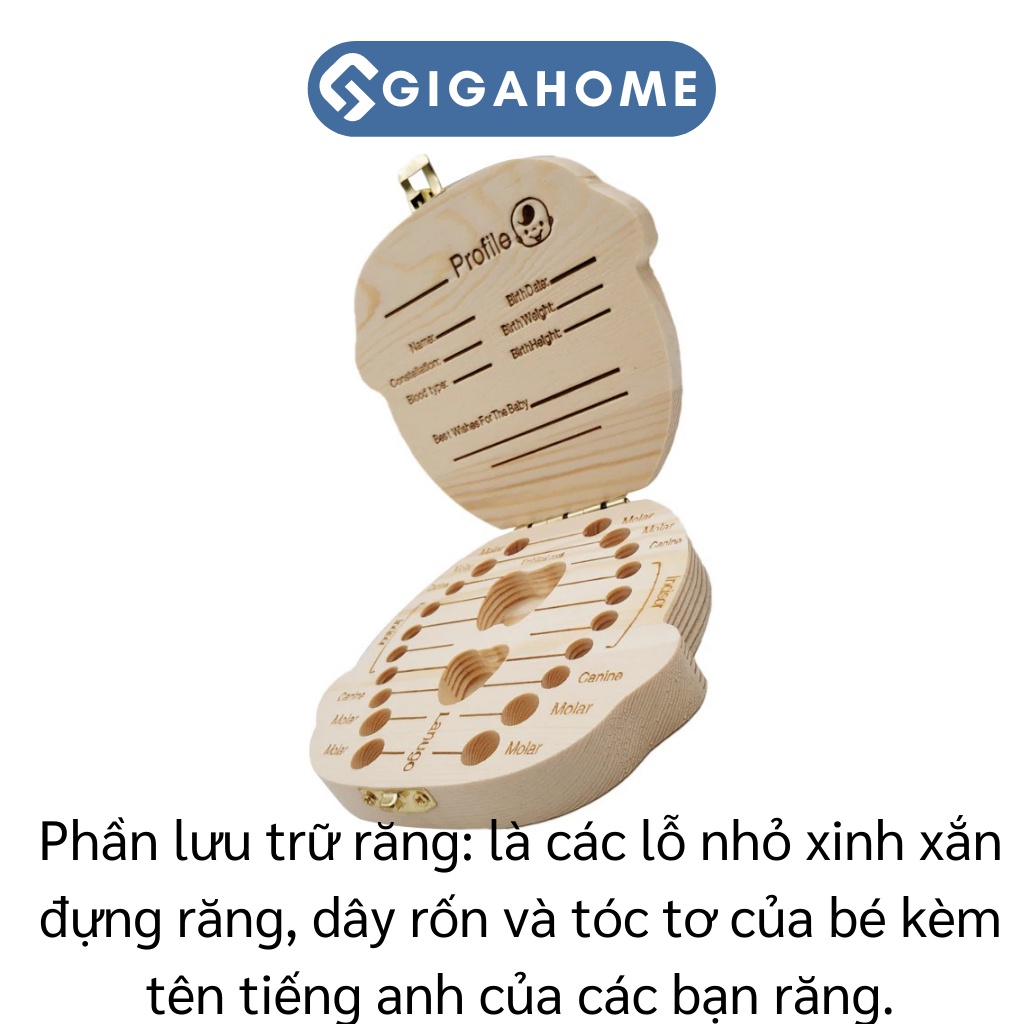 Hộp Đựng Răng Sữa Cho Bé GIGAHOME Lưu Giữ Kỷ Niệm Đáng Nhớ Cho Trẻ 4114