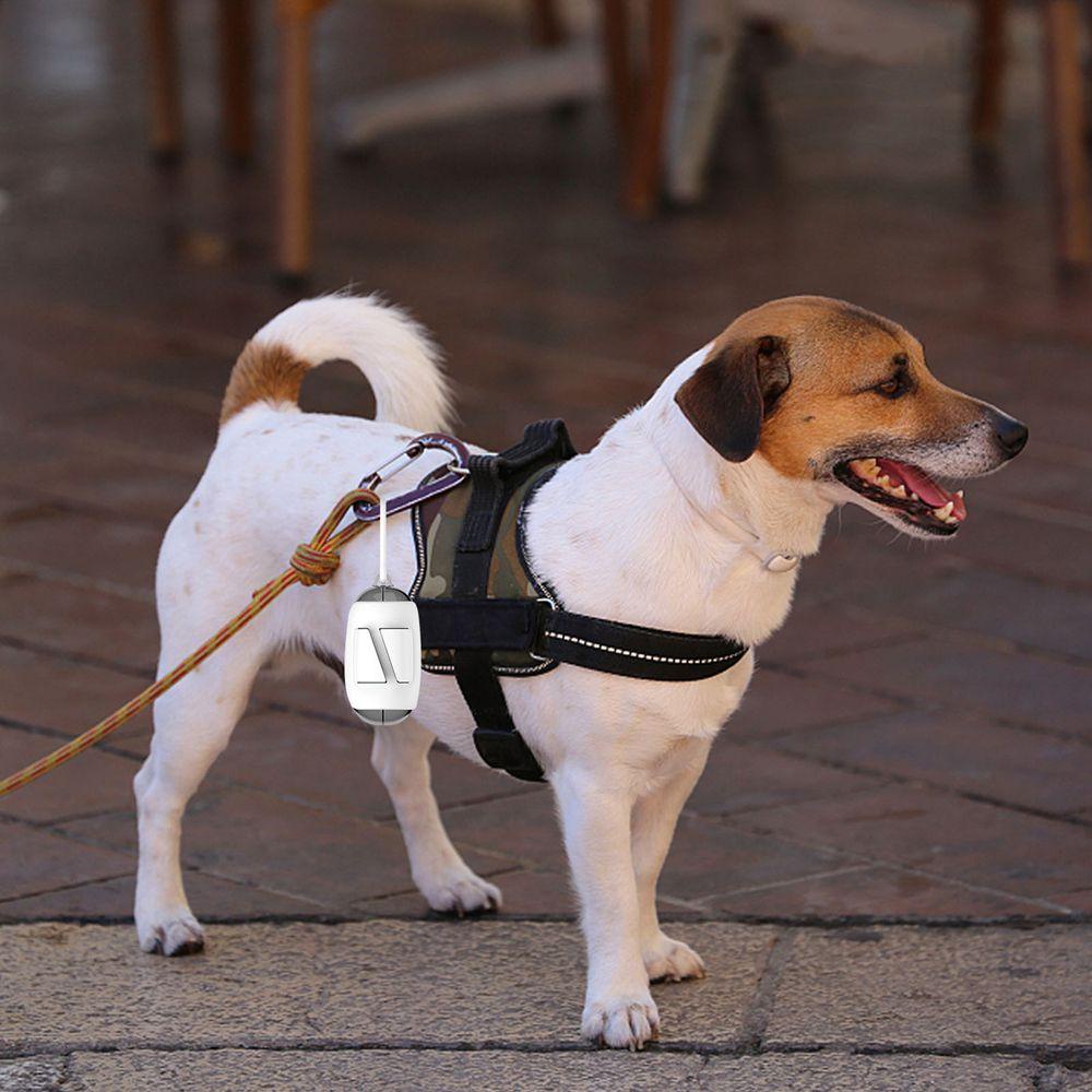 Túi Đựng Phân Chó Mèo Tiện Dụng Chất Lượng Cao Giá Đỡ