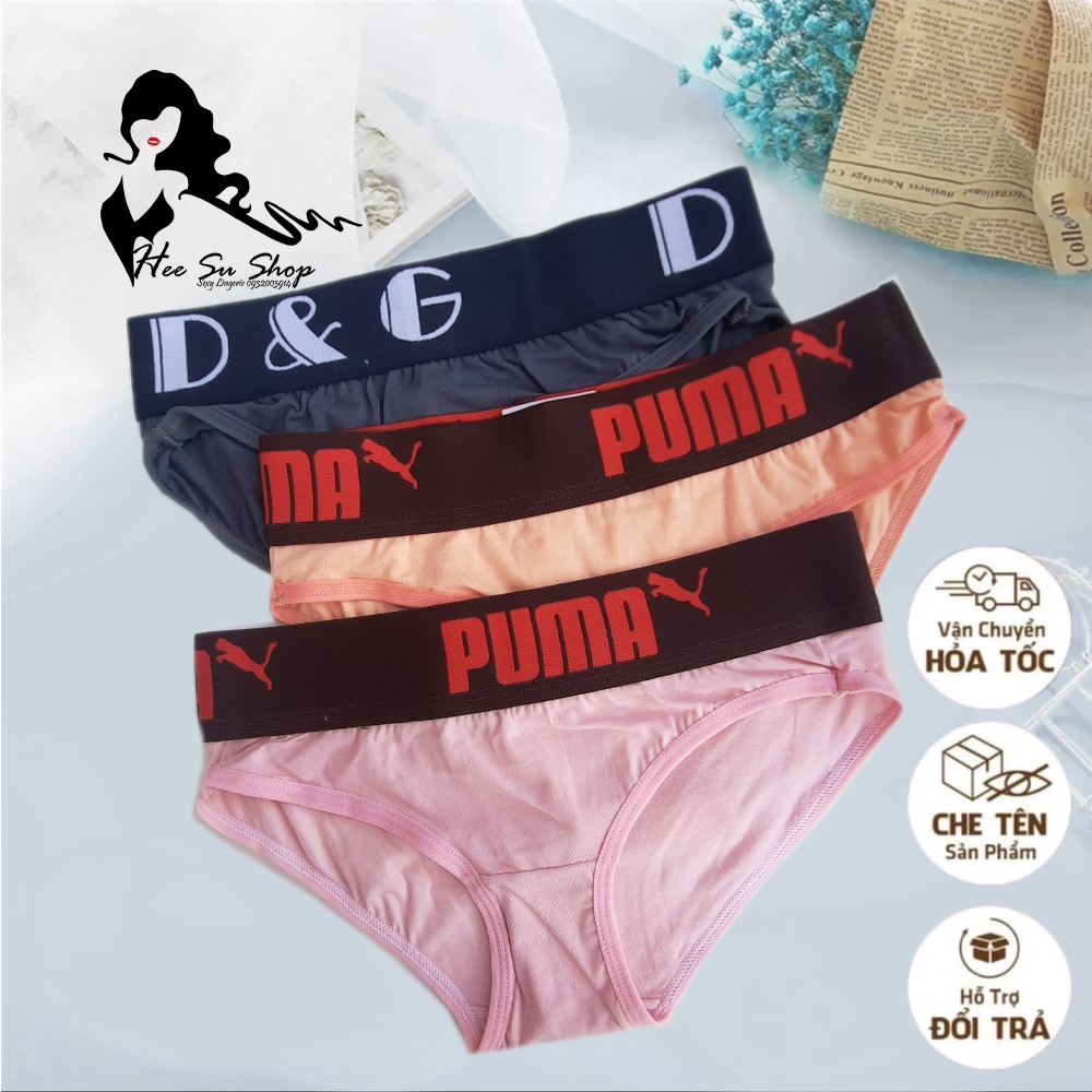 Set 3 quần lót cotton nữ lưng thấp, quần lót thể thao bảng lưng chữ to 5016 size dưới 55kg, màu ngẫu nhiên
