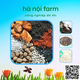 Đá perlite trân châu siêu nhẹ - Túi 10Lit